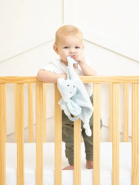 Bella Tunno Teether Buddy
