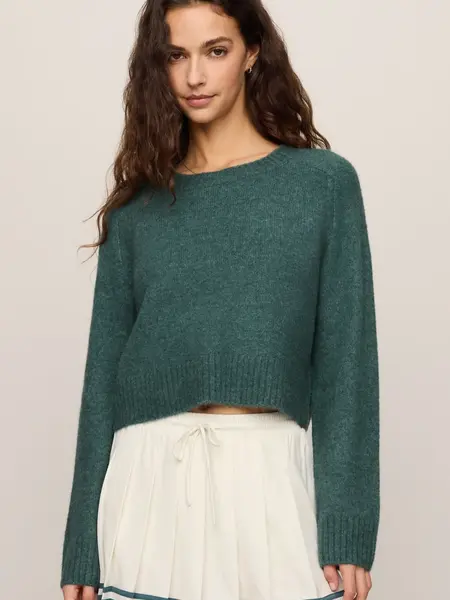 Z Supply Stand In Sweater