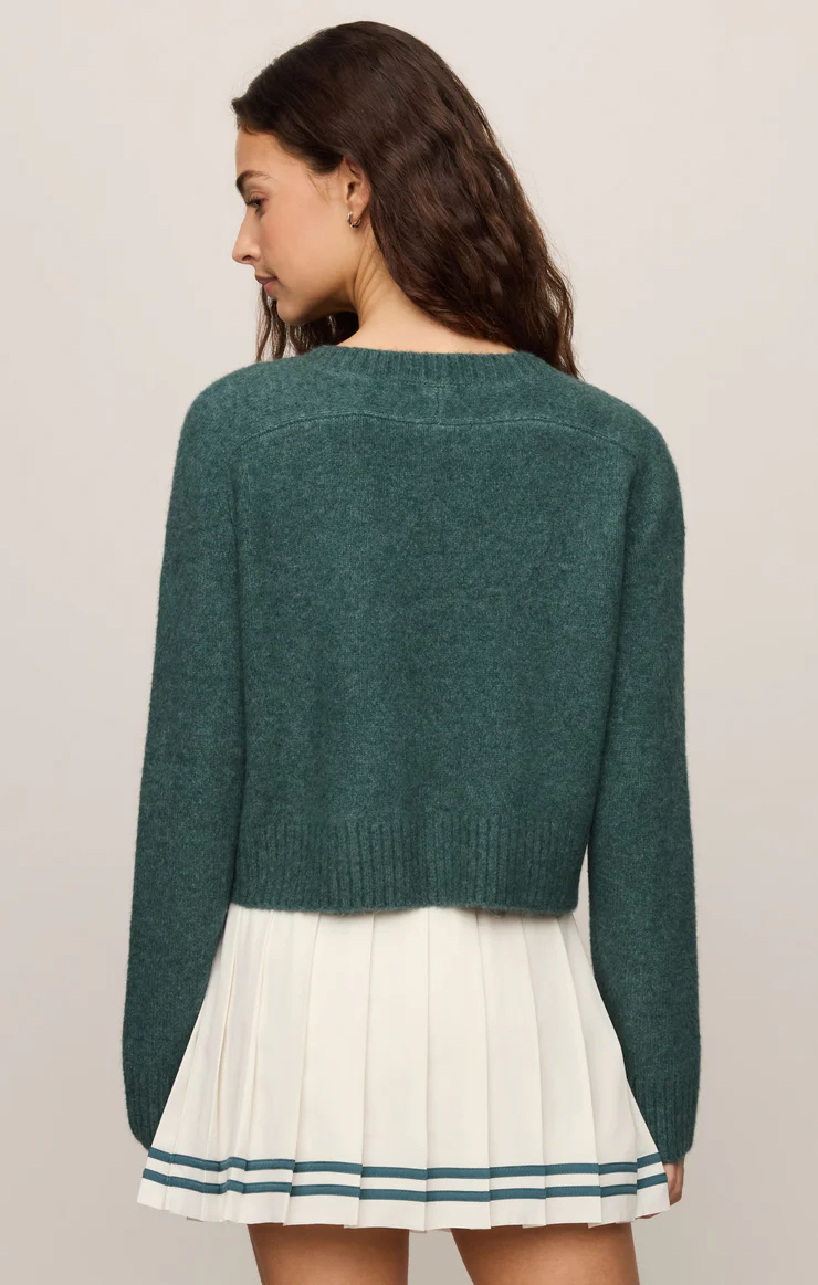 Z Supply Stand In Sweater