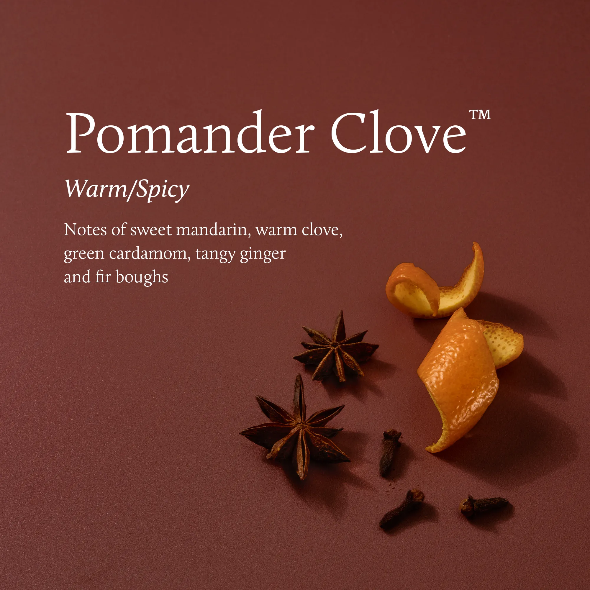 Thymes Votive Candle Pomander Clove 2oz