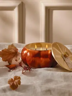 Thymes Poured Candle Pumpkin Laurel Large 15oz