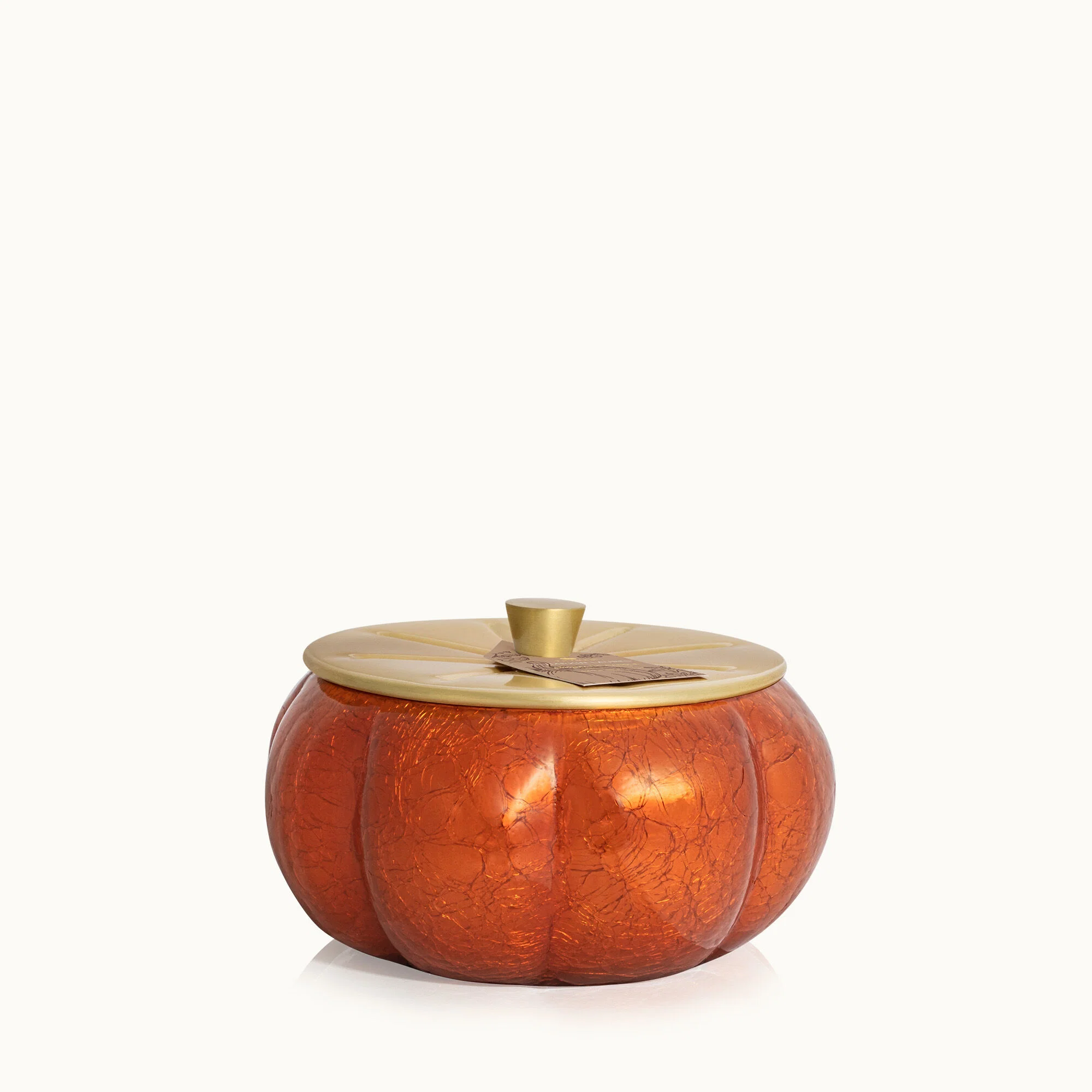 Thymes Poured Candle Pumpkin Laurel Large 15oz