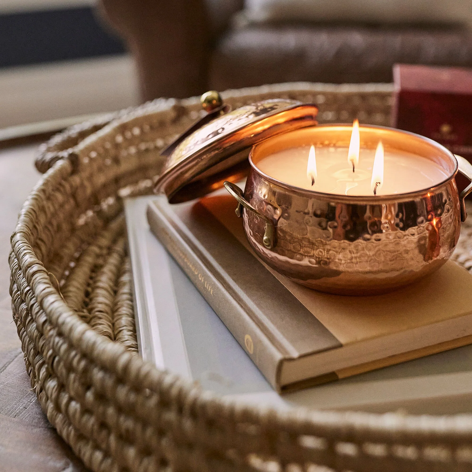 Thymes Poured Candle Copper Pot 3-Wick Simmered Cider