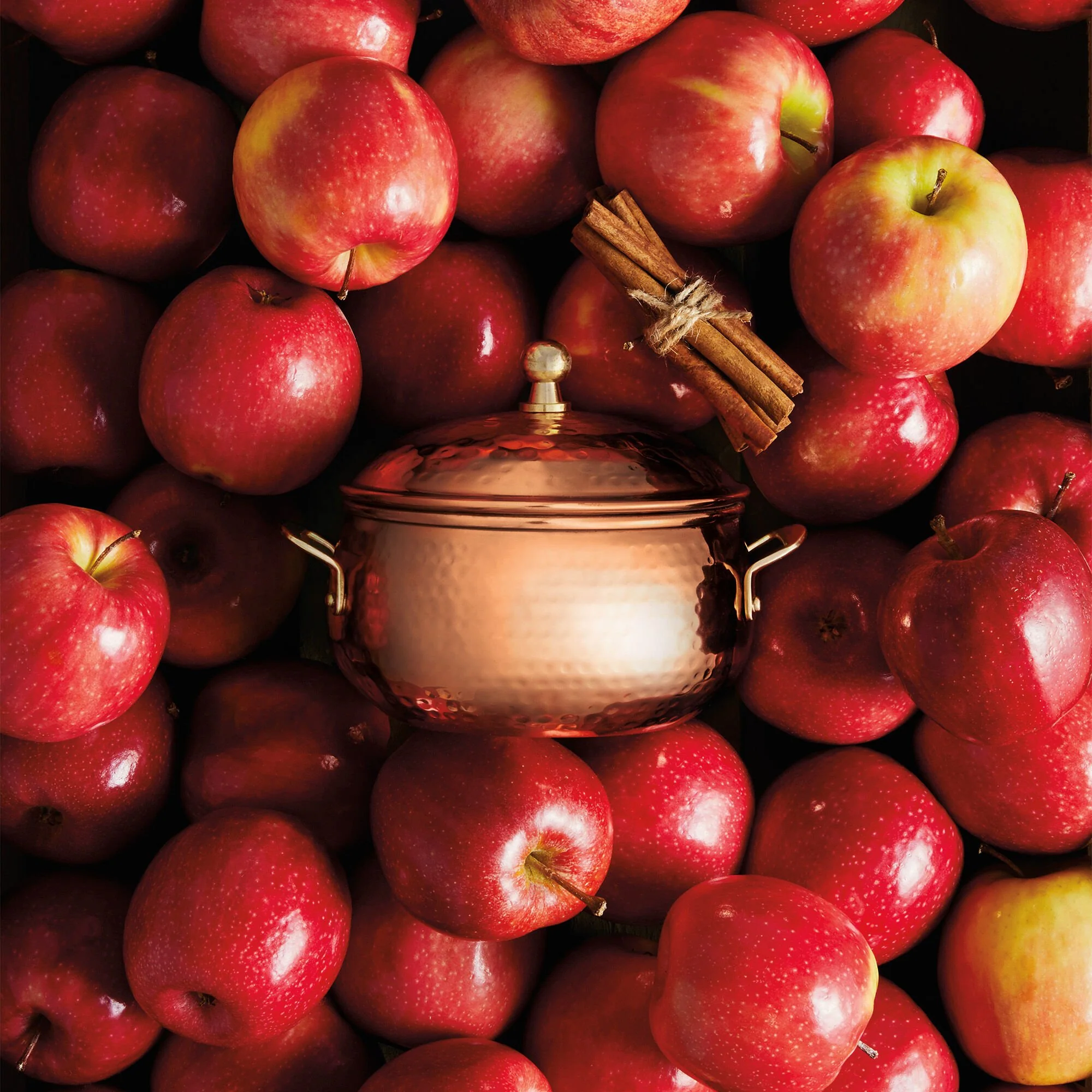 Thymes Poured Candle Copper Pot 3-Wick Simmered Cider