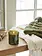 Thymes Poured Candle Molded Green Glass Frasier Fir