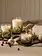 Thymes Pine Needle Luminary Large Frasier Fir