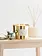 Thymes Gold Poured Candle Frasier Fir 17oz
