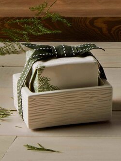 Thymes Bar Soap & Dish Set Frasier Fir
