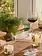 Thymes Poured Candle Set Pine Needle Design Frasier Fir