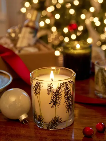 Thymes Poured Candle Pine Needle Design  Frasier Fir