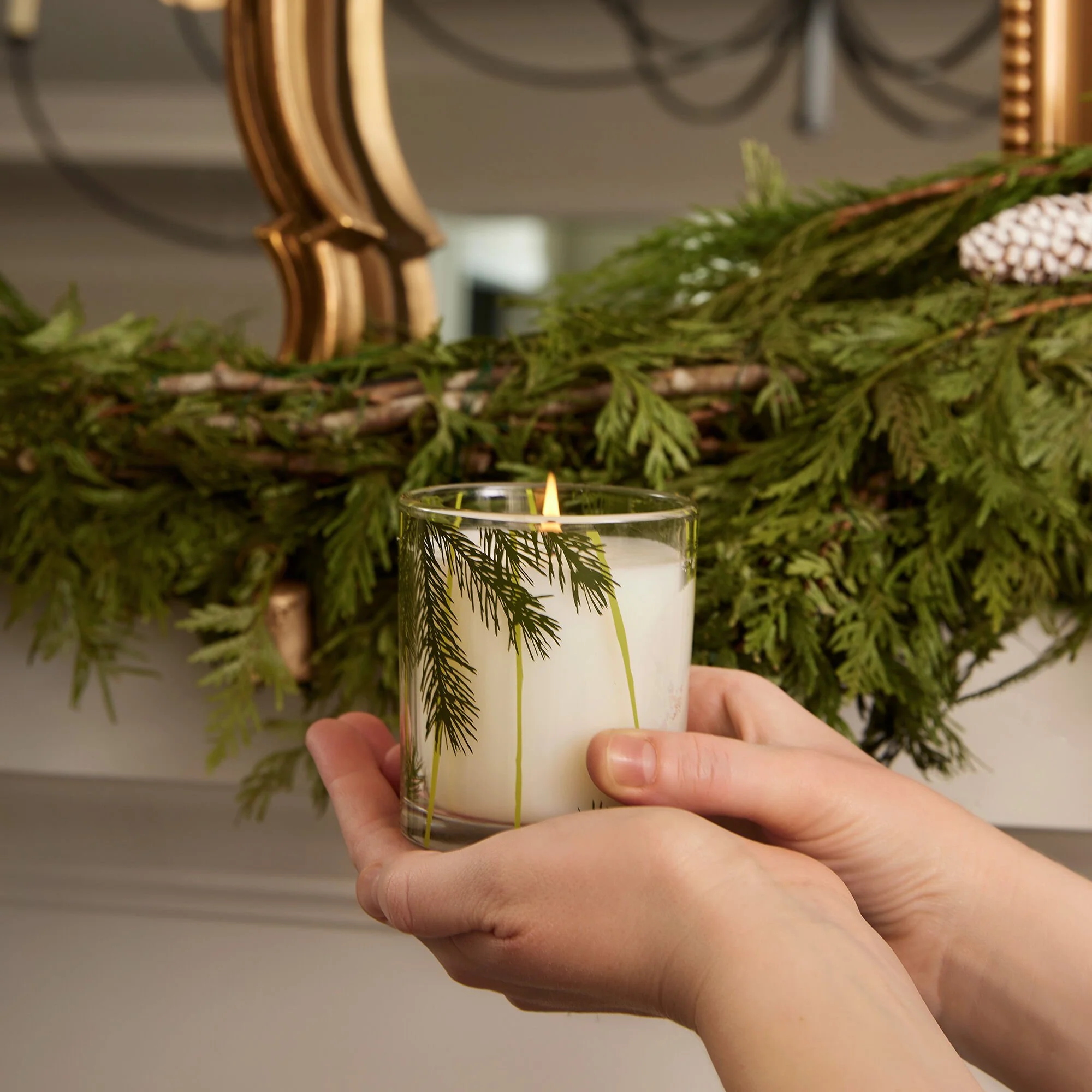 Thymes Poured Candle Pine Needle Design  Frasier Fir
