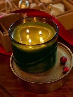 Thymes Poured Candle 3-Wick Frasier Fir 17oz