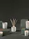Thymes Votive Candle Frasier Fir Tidings  2oz