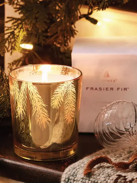 Thymes Gilded Poured Candle Frasier Fir 13oz