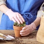 Repotting Party Event