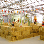 Pumpkin Maze Group Bookings