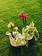 Orchid Oasis Make & Take Workshop September 20th @ 2pm