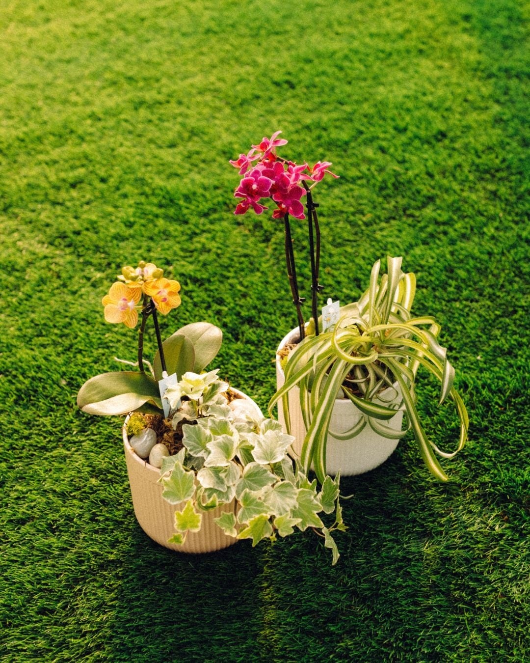 Orchid Oasis Make & Take Workshop September 20th @ 2pm