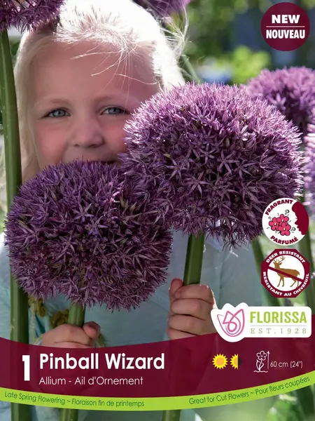 Florissa Allium Pinball Wizard