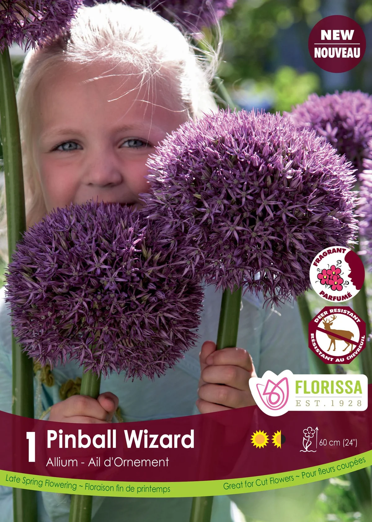 Florissa Allium Pinball Wizard