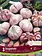 Florissa Garlic Duganski Tops