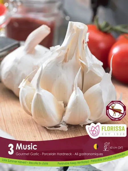 Florissa Garlic Nov. Music Tops