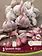 Florissa Garlic Nov. Spanish Roja