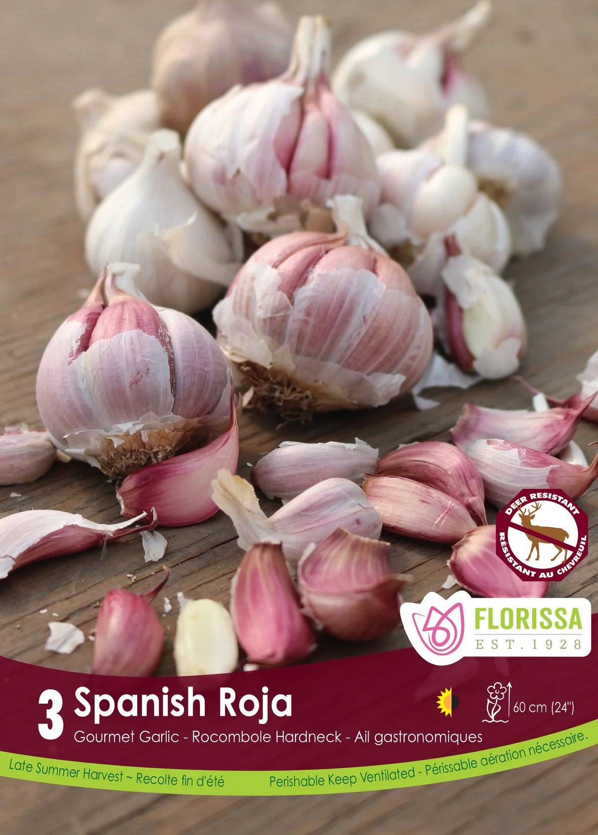 Florissa Garlic Nov. Spanish Roja