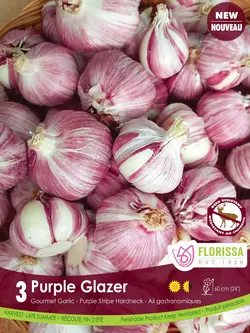 Florissa Garlic Purple Glazer Tops