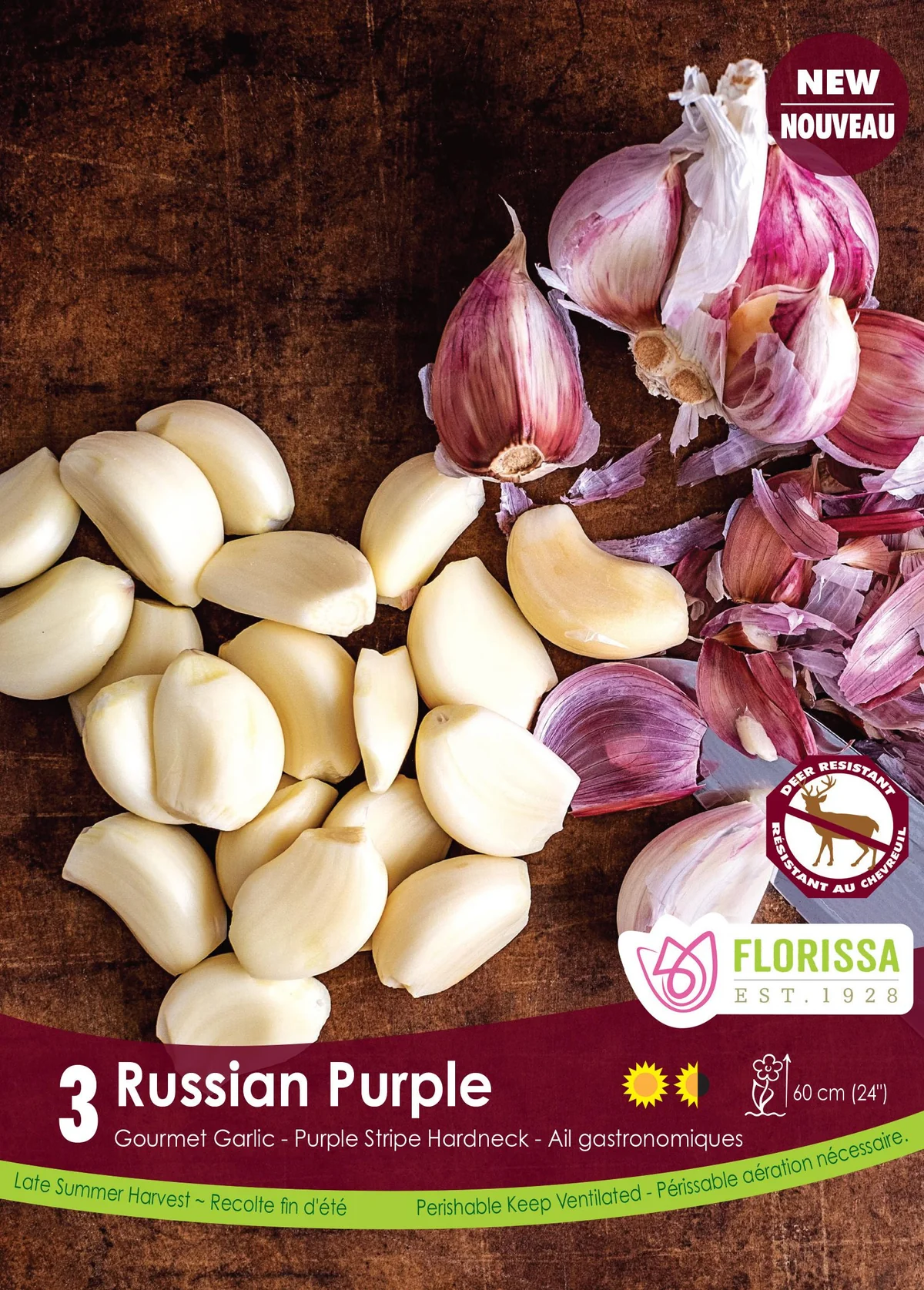 Florissa Garlic Russian Purple Tops