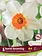 Florissa Narcissus Barret Browning