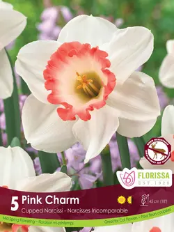 Florissa Narcissus Pink Charm