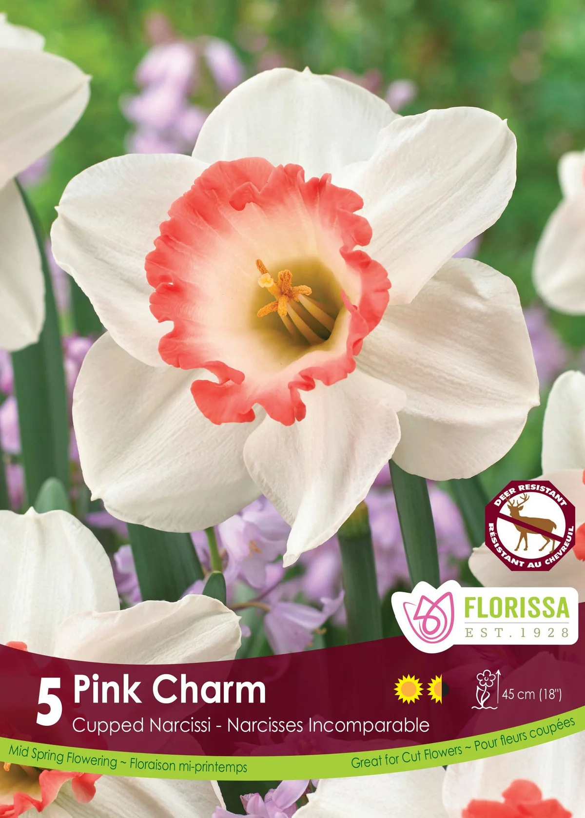 Florissa Narcissus Pink Charm