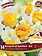 Florissa Tulip and Narcissi Bouquet Of Sunshine