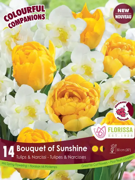 Florissa Tulip and Narcissi Bouquet Of Sunshine