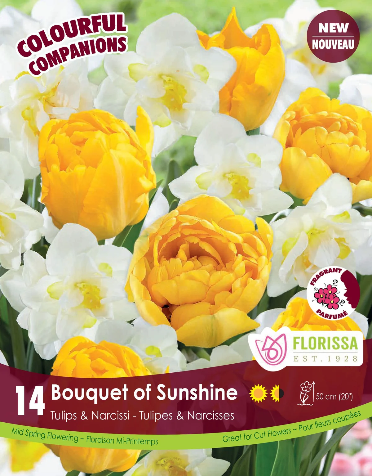Florissa Tulip and Narcissi Bouquet Of Sunshine