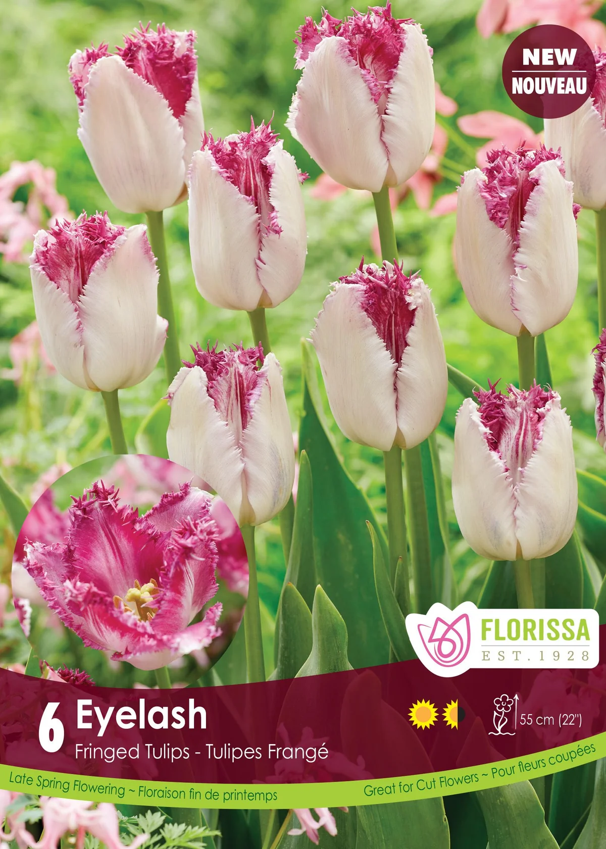 Florissa Tulip Eyelash