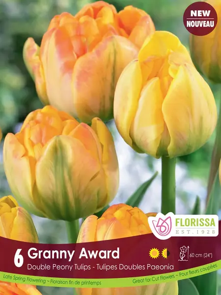 Florissa Tulip Granny Award