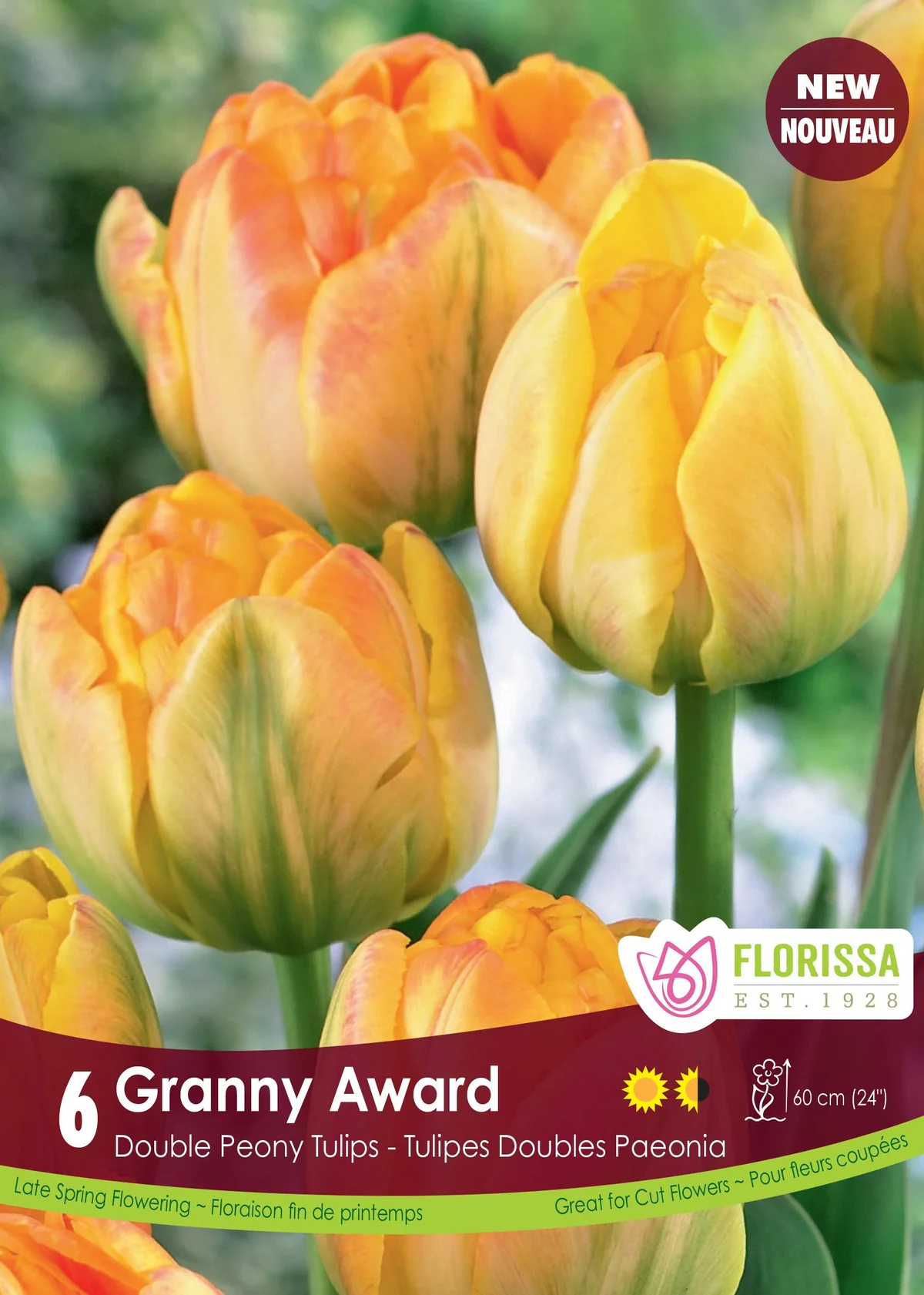 Florissa Tulip Granny Award