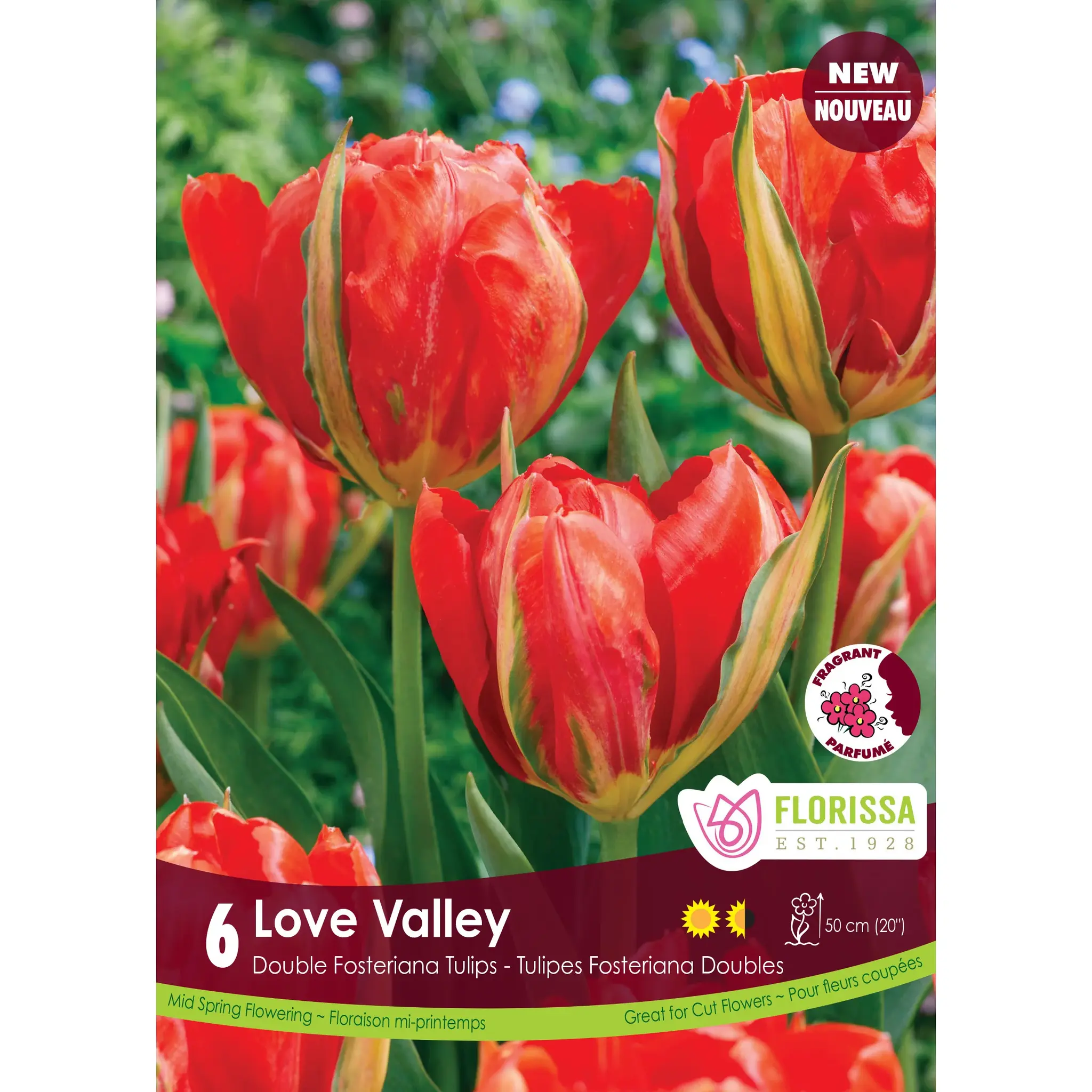 Florissa Tulip Love Valley