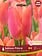 Florissa Tulip Salmon Prince