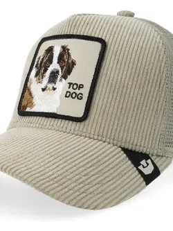 Goorin Bros Corduroy Top Dog Hat