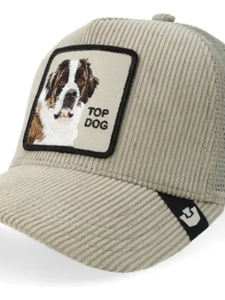 Goorin Bros Corduroy Top Dog Hat