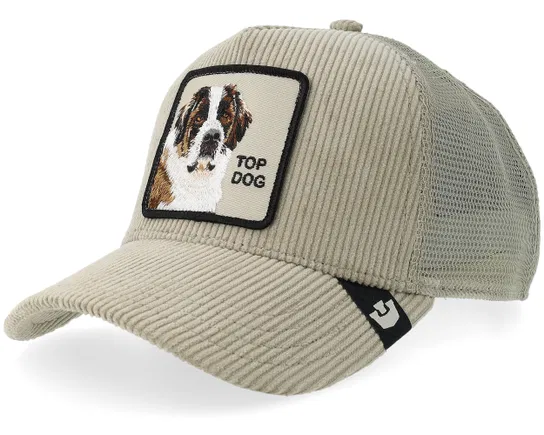 Goorin Bros Corduroy Top Dog Hat
