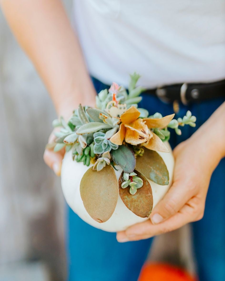 Dutch Growers Succulent Pumpkin Make & Take Workshop