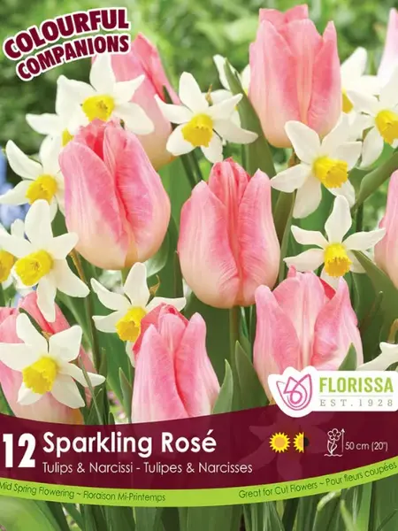 Florissa Companions Sparkling Rose