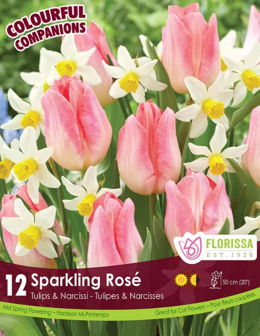 Florissa Companions Sparkling Rose