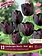 Florissa Tulip Landscape Black