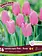 Florissa Tulip Landscape Pink
