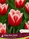 Florissa Tulip New Santa
